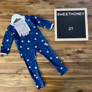 SweetHoney Dreamer Two Piece Pajamas Blue Pink Peace Dove Pants Long Sleeve 2T